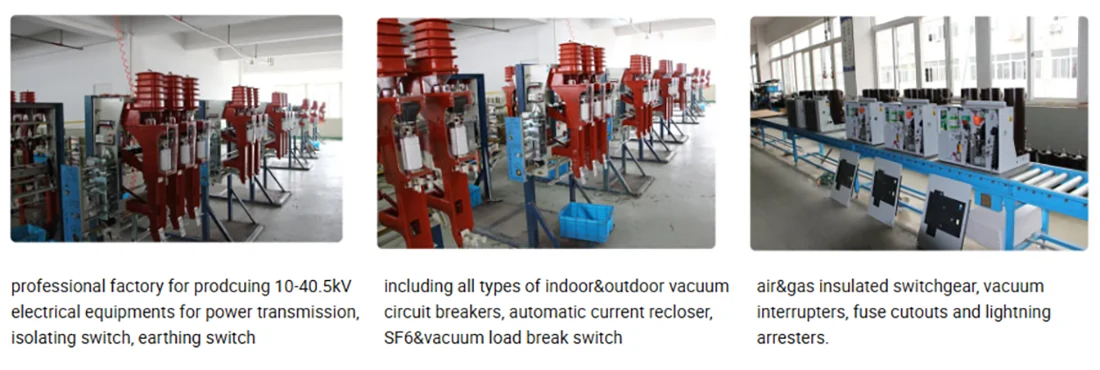 10kV Indoor Fused Vacuum Load Break Switch